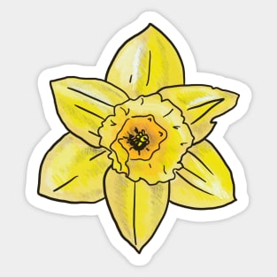 Daffodil Sticker